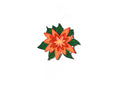 Poinsettia Attachment