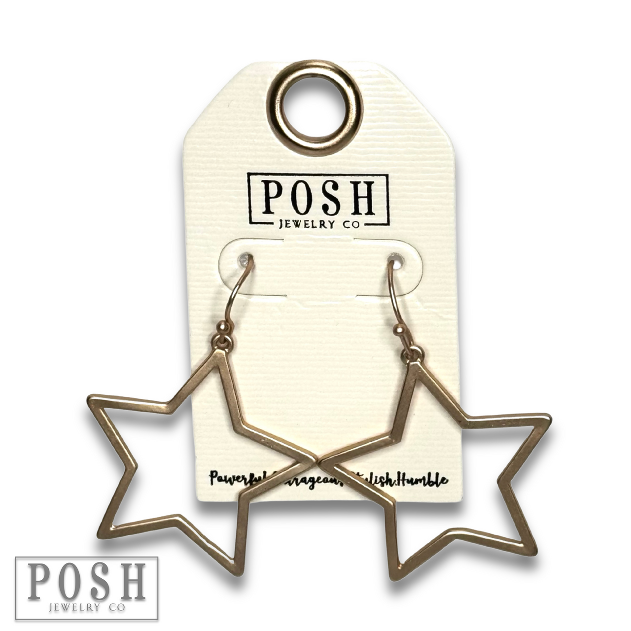Matte finish open star earring - LC