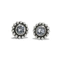 Twinkle Mini Post Stud Earrings