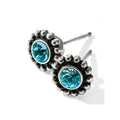 Zircon Twinkle Mini Post Stud Earrings