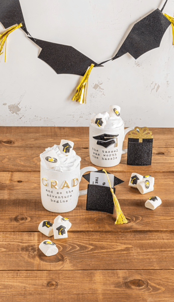 Worth the Hassle Gourmet Grad Mug Set
